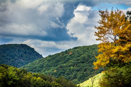 Pennsylvania - We cannot wait to see the leaves change color!